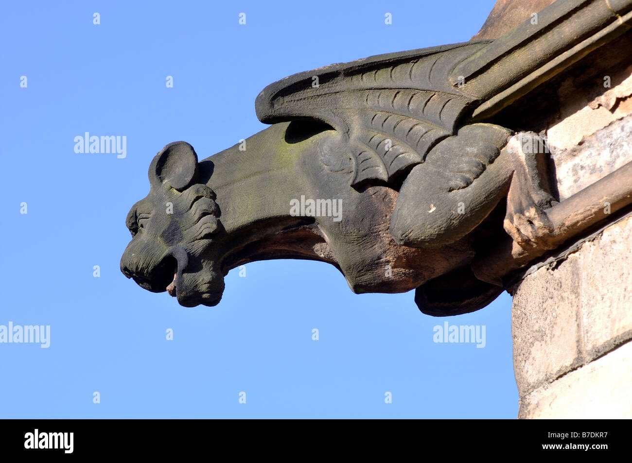 Gargoyle sulla chiesa di Santa Maria, Moseley, Birmingham, Inghilterra, Regno Unito Foto Stock