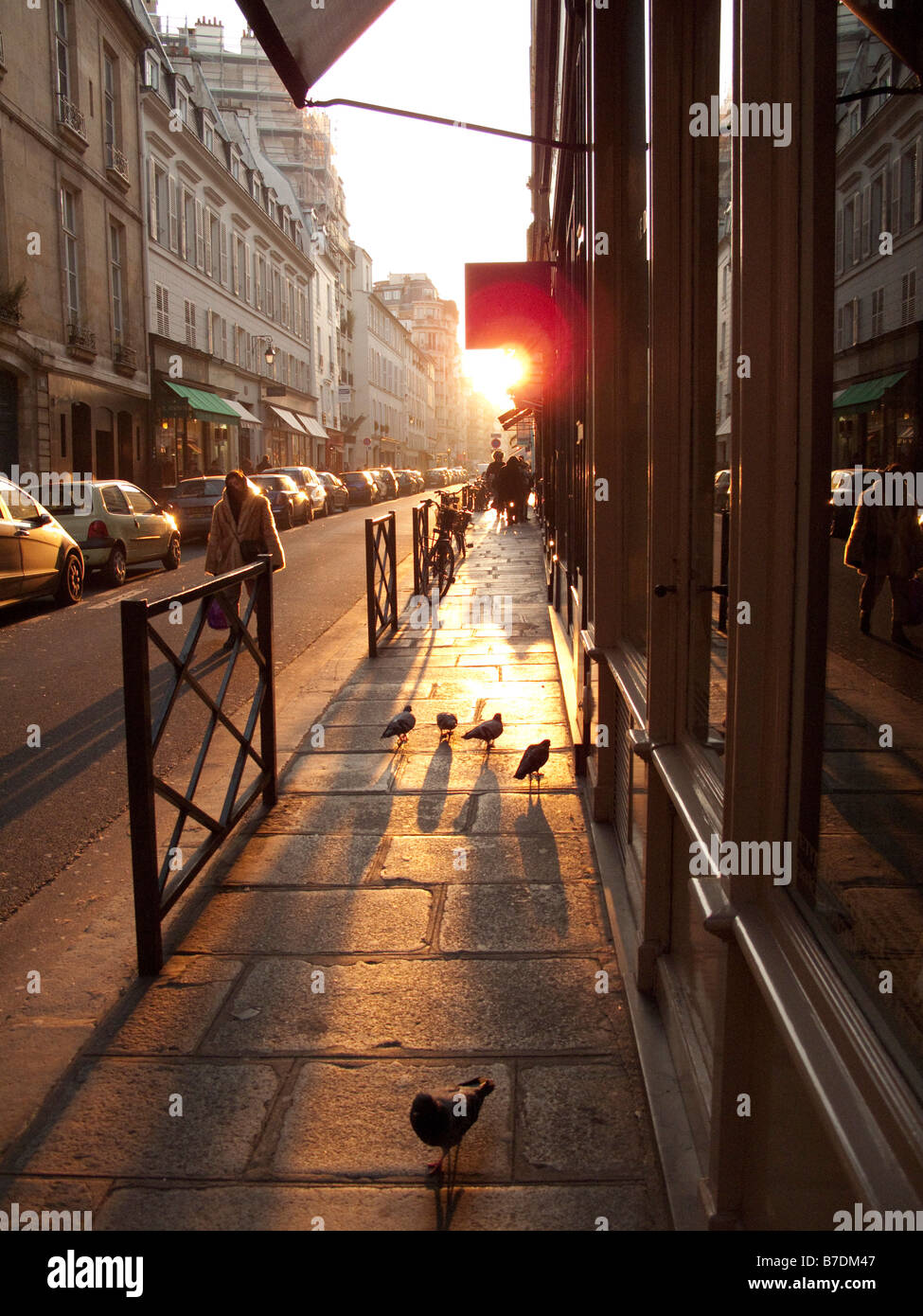 Piccioni poggiano su un marciapiede in Parigi, Francia street mentre il tramonto si riscalda in una scena con retroilluminazione Foto Stock