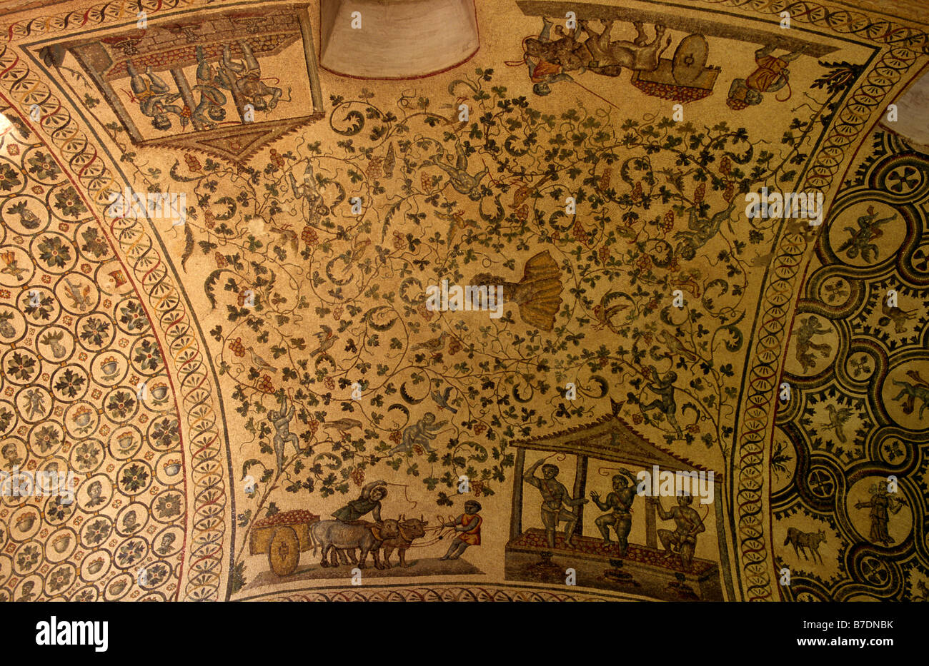 Italia, Roma, Mausoleo di Santa Costanza, mosaico paleocristiano Foto Stock