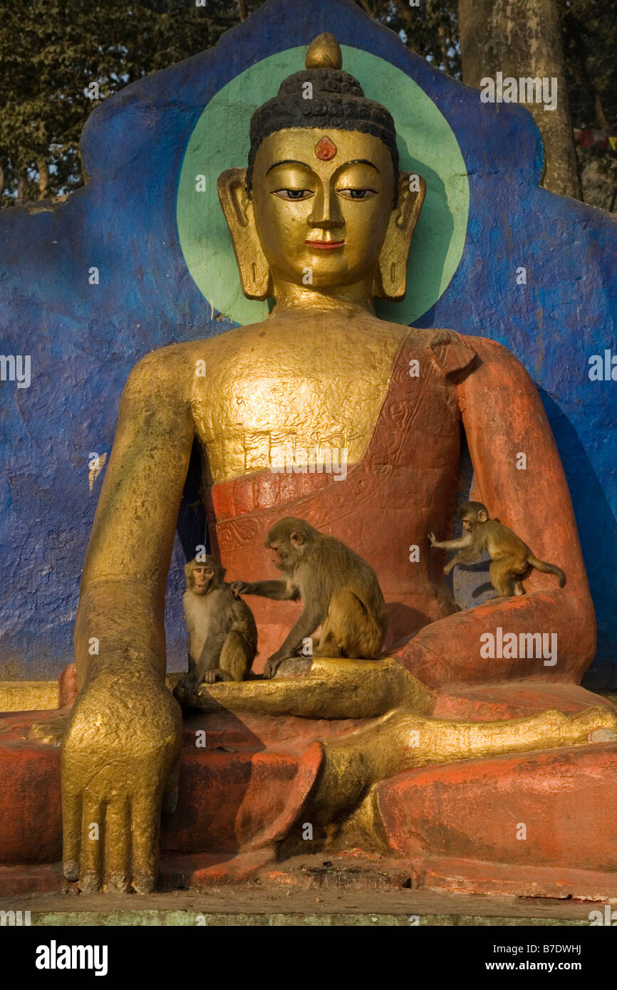 Swayambhunath Temple Foto Stock