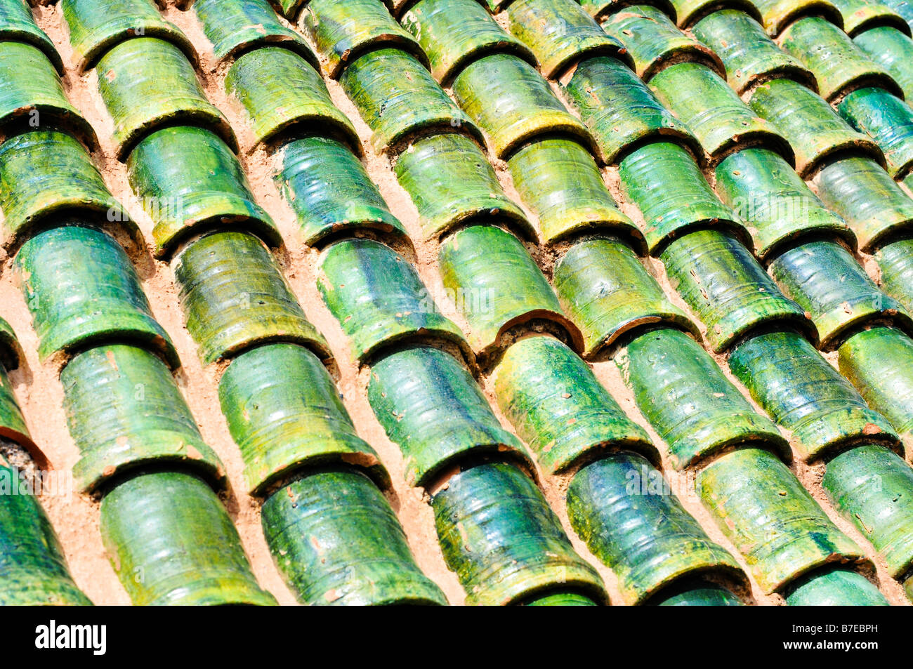 Modello di pentole di verde sul tetto in Marocco Foto Stock