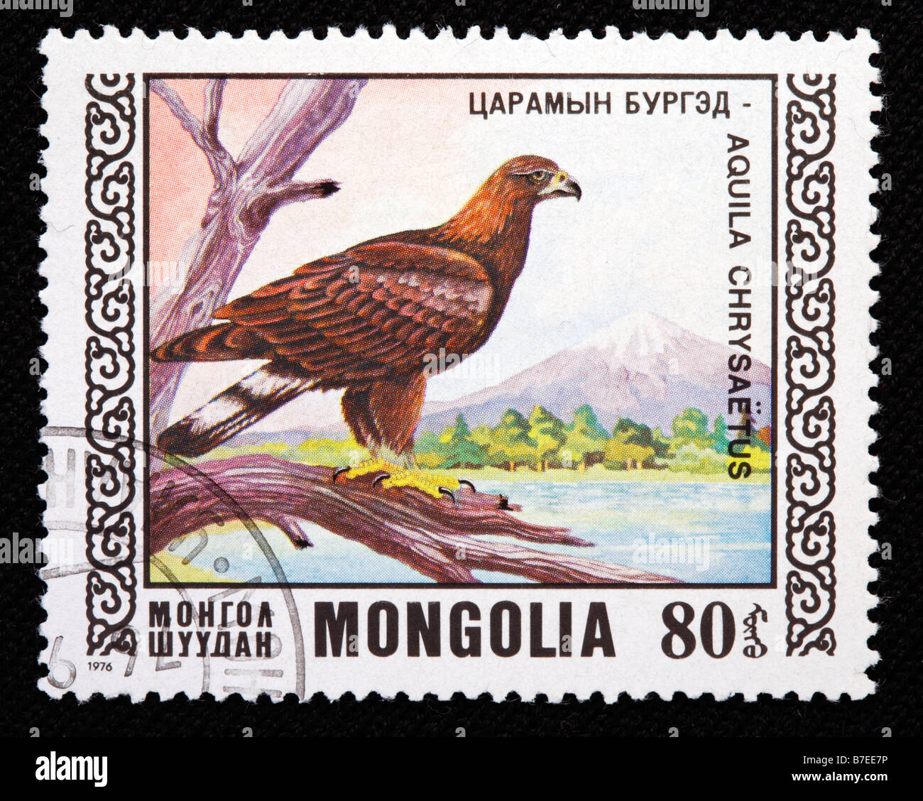 Golden Eagle, Aquila chrysaetos, Accipitridae, francobollo, Mongolia, 1976 Foto Stock