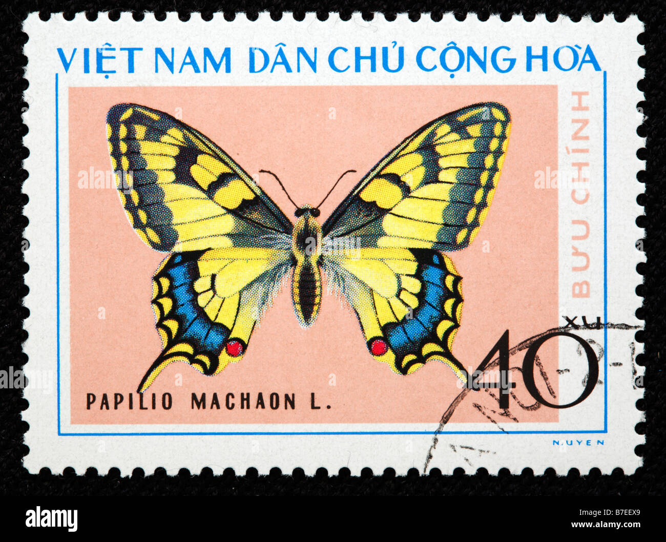 Il vecchio mondo a coda di rondine, giallo a coda di rondine, Papilio machaon, butterfly, francobollo, Vietnam, 1976 Foto Stock