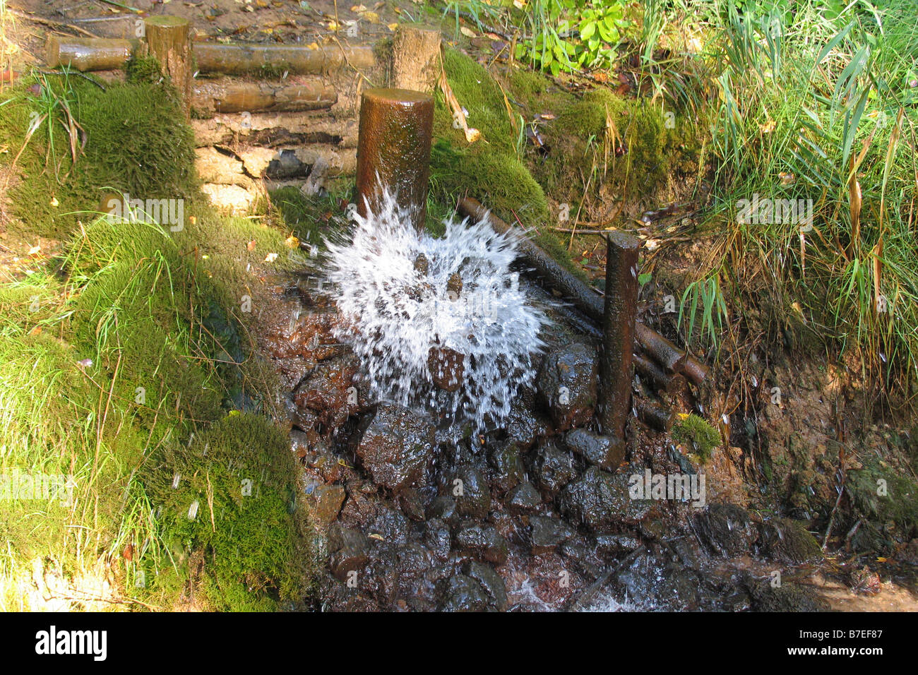 Cilindro idraulico a Tindiorg, Võru County, Estonia, Europa Foto Stock