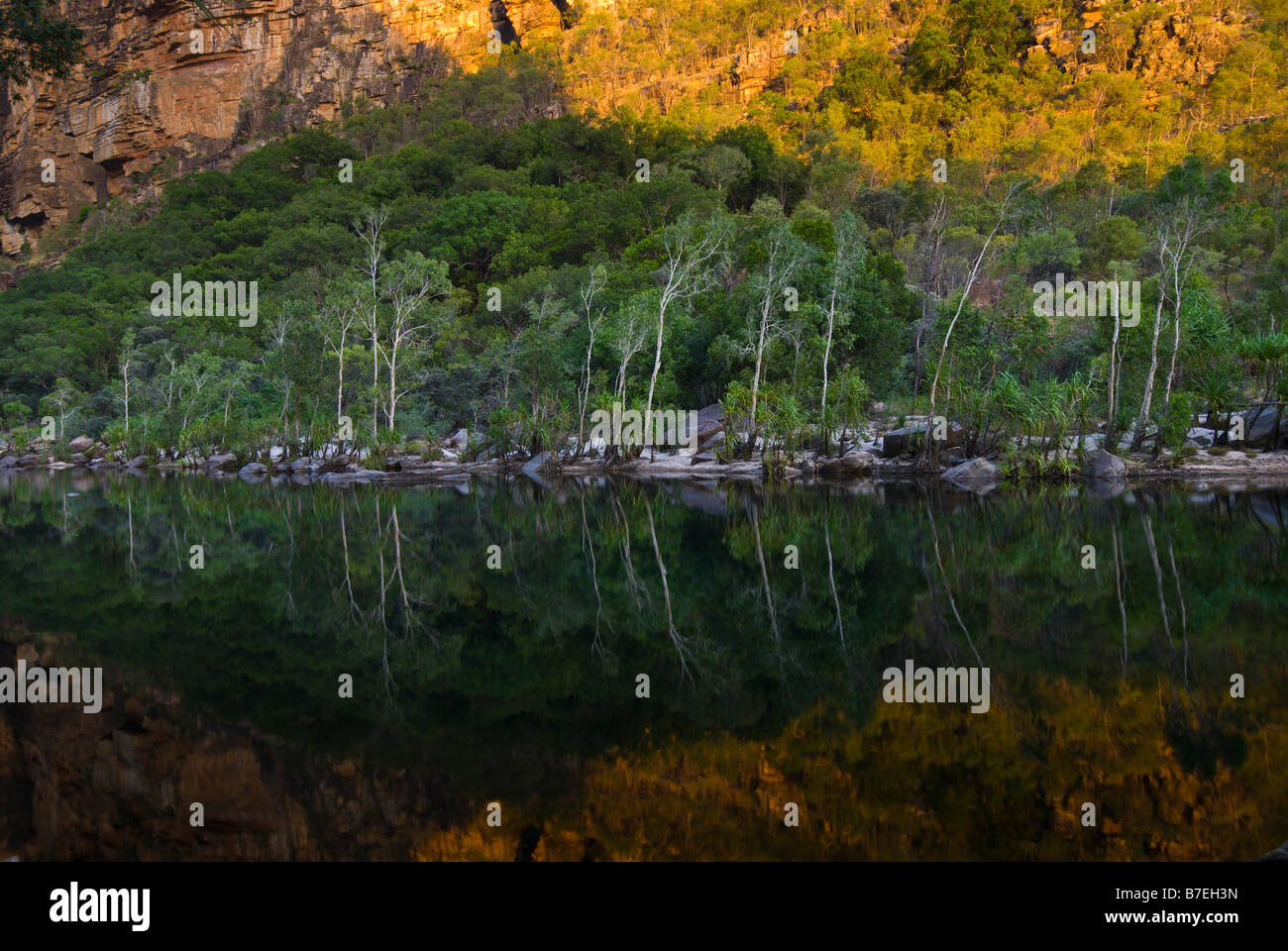 Alberi riflettendo in acqua vicino a Jim Jim rientra nel Parco Nazionale Kakadu Foto Stock