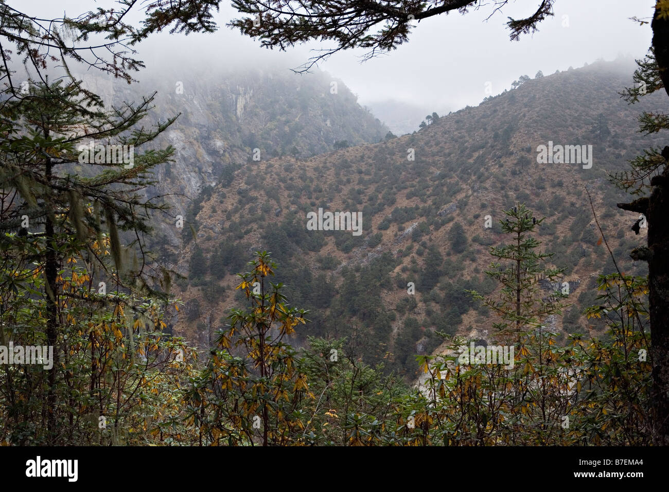 New Scenic 5 posti di Bhote Khosi River Valley vicino a Phurte nel Parco Nazionale di Sagarmatha Solokhumbu regione Nepal Foto Stock