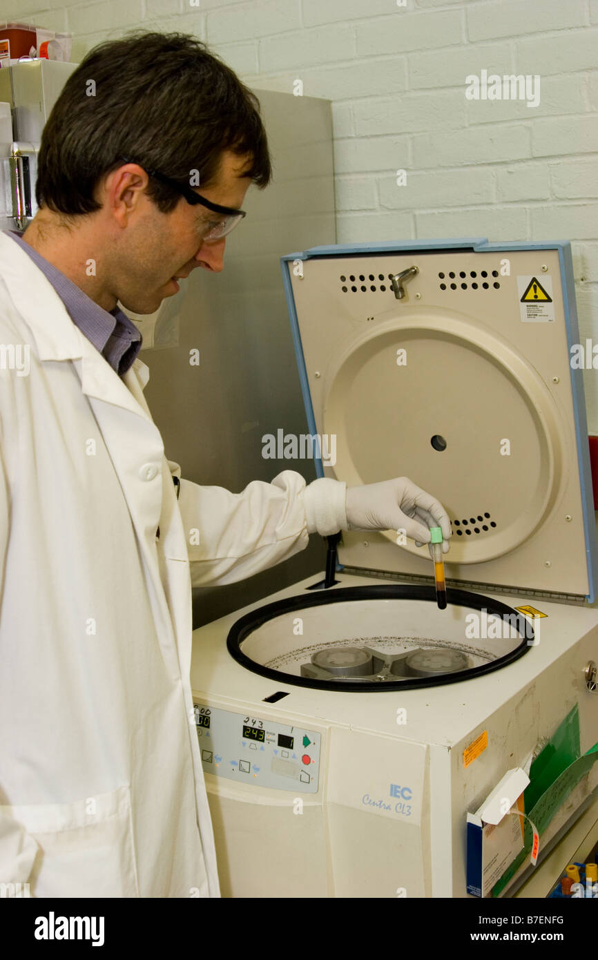 Maschio per il tecnico di laboratorio si prepara a girare una unità di sangue in centrifuga Foto Stock