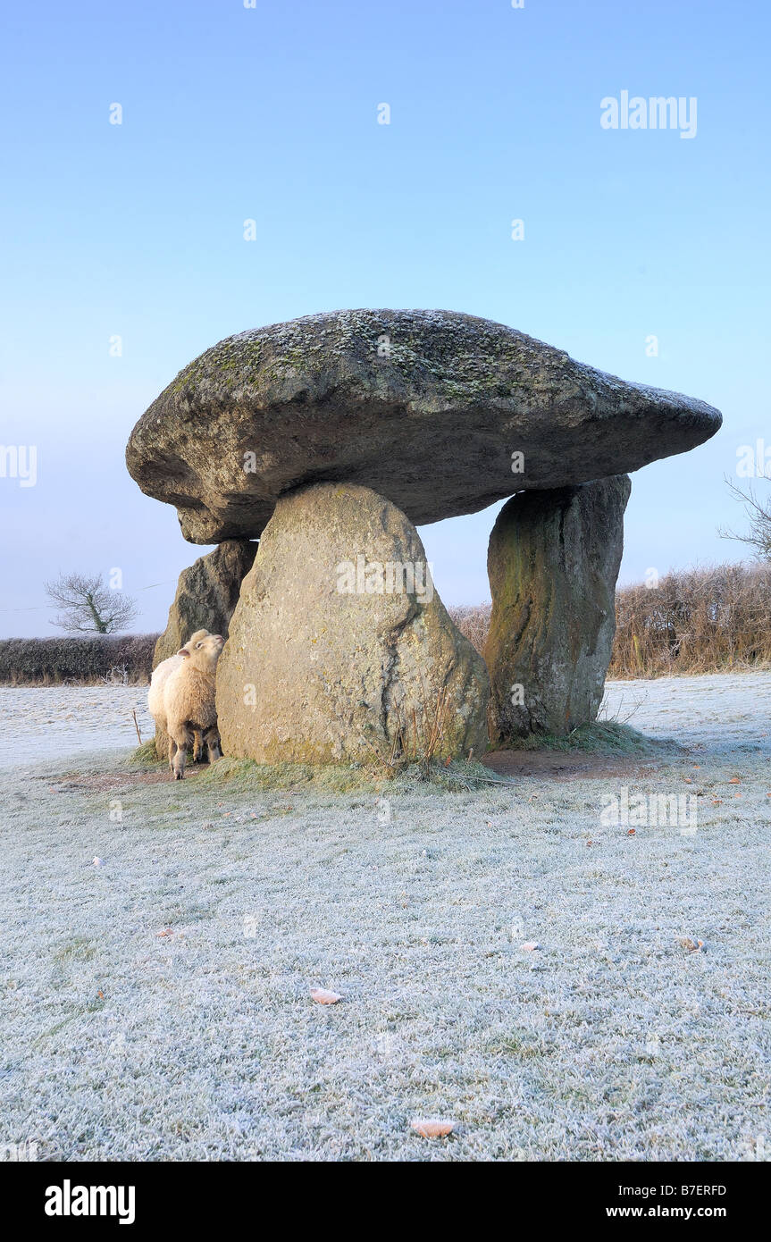 Zitelle Rock è ciò che resta di un antico neolitico sepoltura camera sul Parco Nazionale di Dartmoor su un gelido mattina con pecora Foto Stock