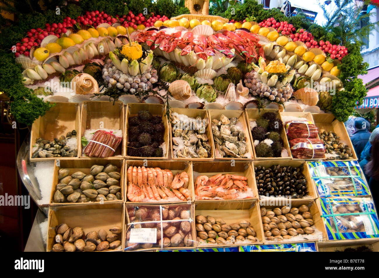 Il display di molluschi al di fuori della casa a base di aragosta ristorante sulla rue des Bouchers a Bruxelles Belgio Foto Stock