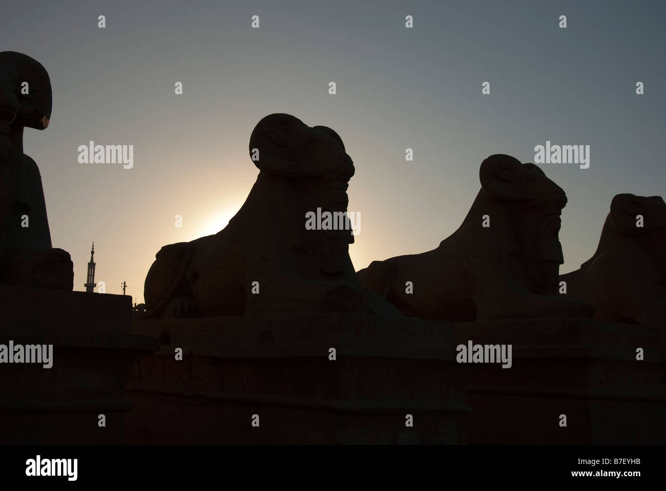Silhouette di Sfingi dalla testa d'ariete Tempio di Karnak Foto Stock