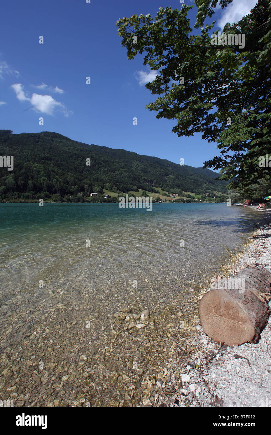 Il lago Mondsee WATERFRONT MONDSEE QUARTIERE VOCKLABRUCK AUSTRIA MONDSEE AUSTRIA 02 Luglio 2008 Foto Stock