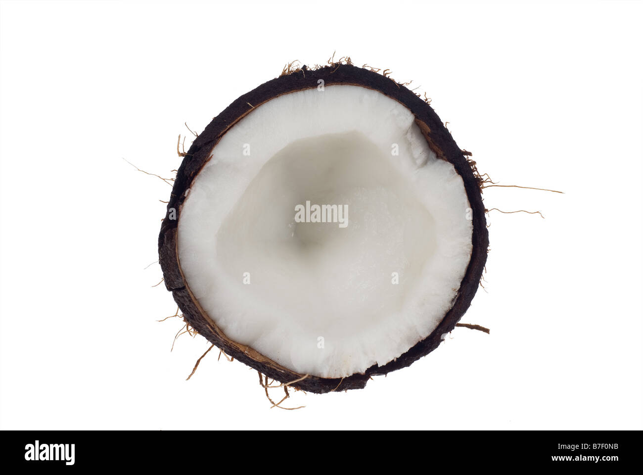 Il cocco isolati su sfondo bianco senza ombra in modo che la sua facile da selezionare e modificare Foto Stock