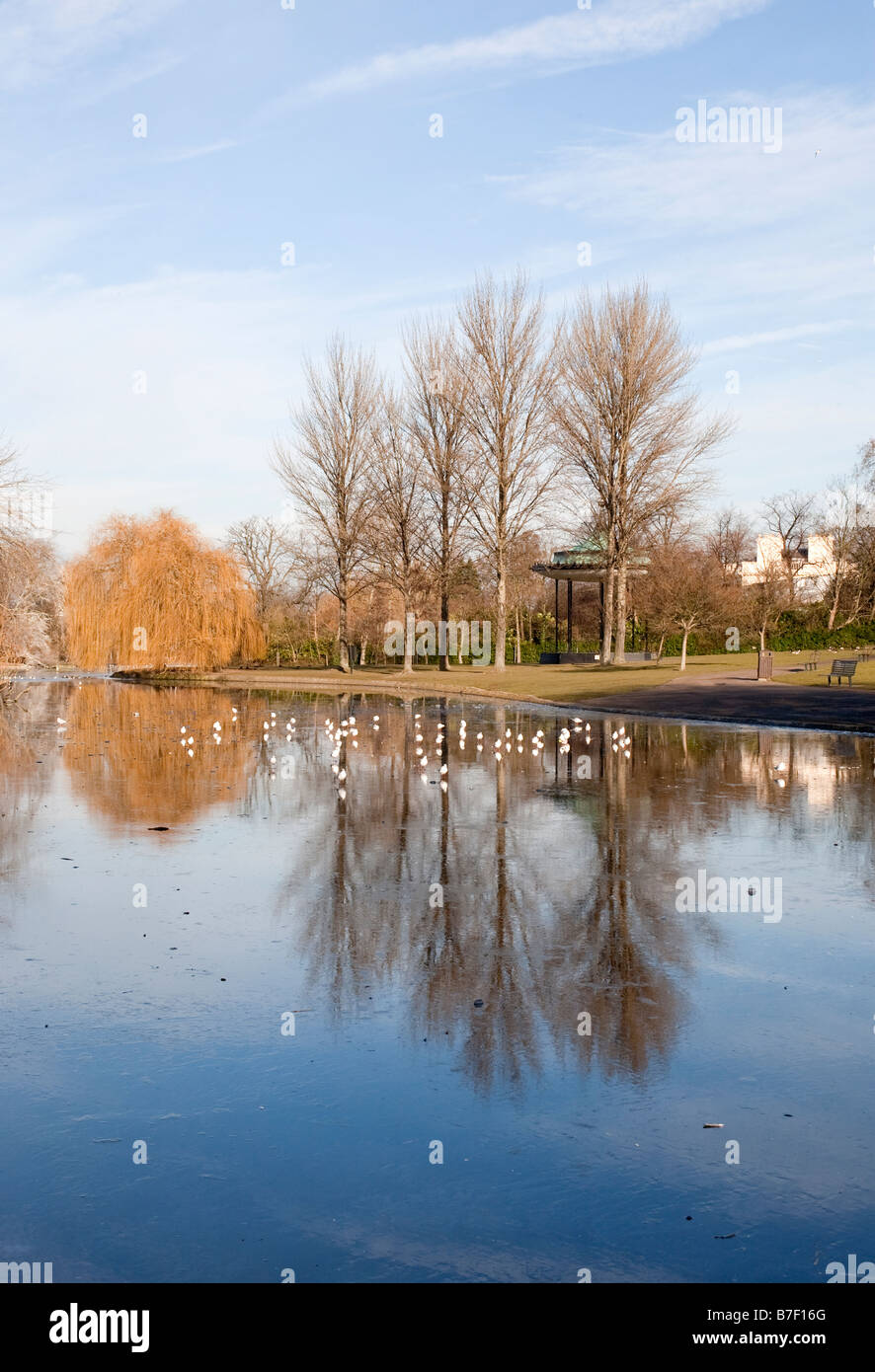 Lago ghiacciato in inverno il sole. Regents Park, Londra, Inghilterra, Regno Unito Foto Stock