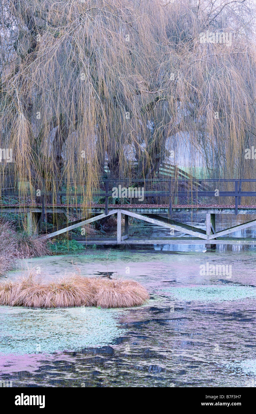 Mattina vicino al fiume Nisqually Delta Foto Stock