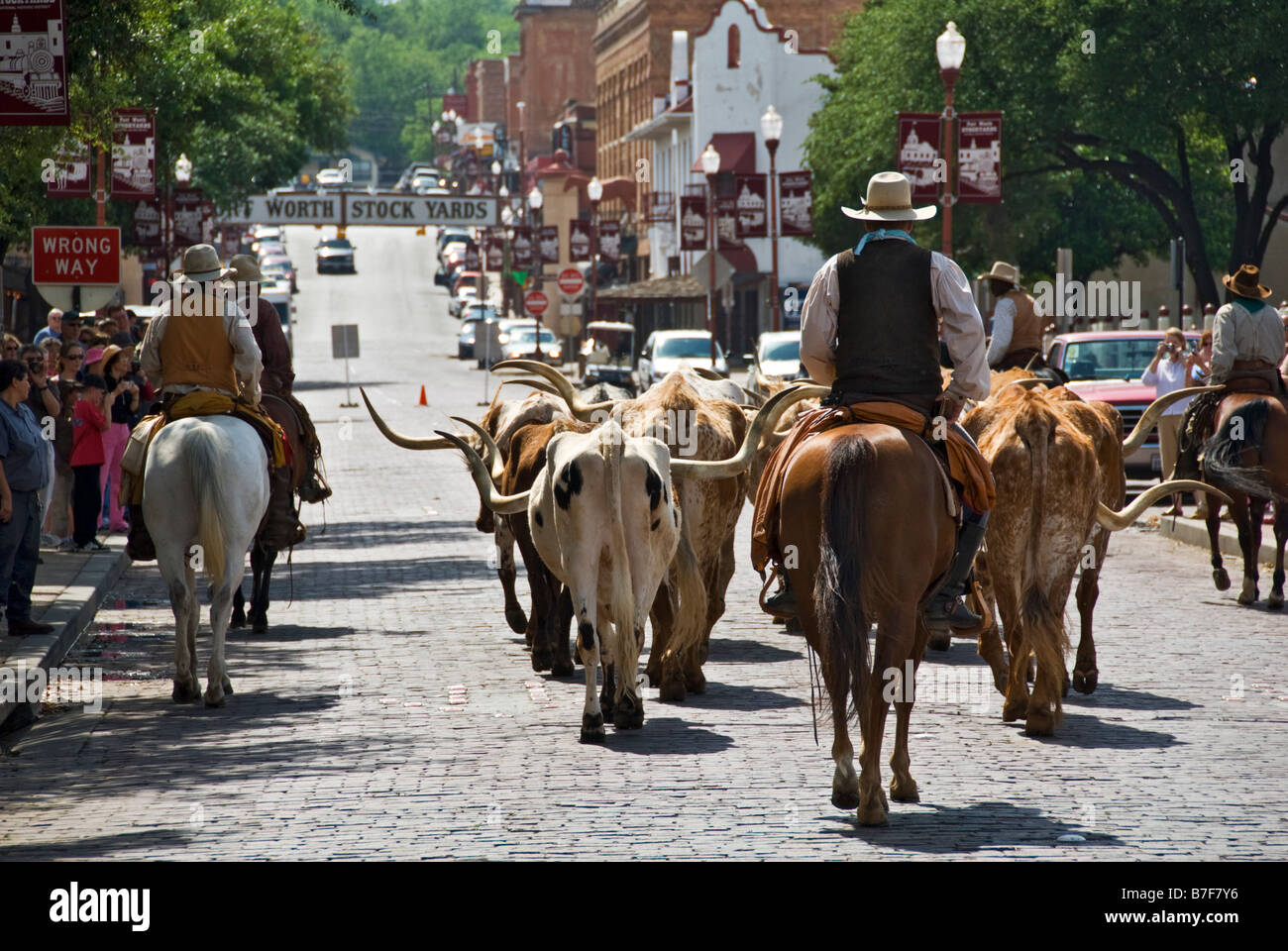 Texas Fort Worth Stockyards National Historic District cowboy imbrancandosi longhorn bovini Foto Stock