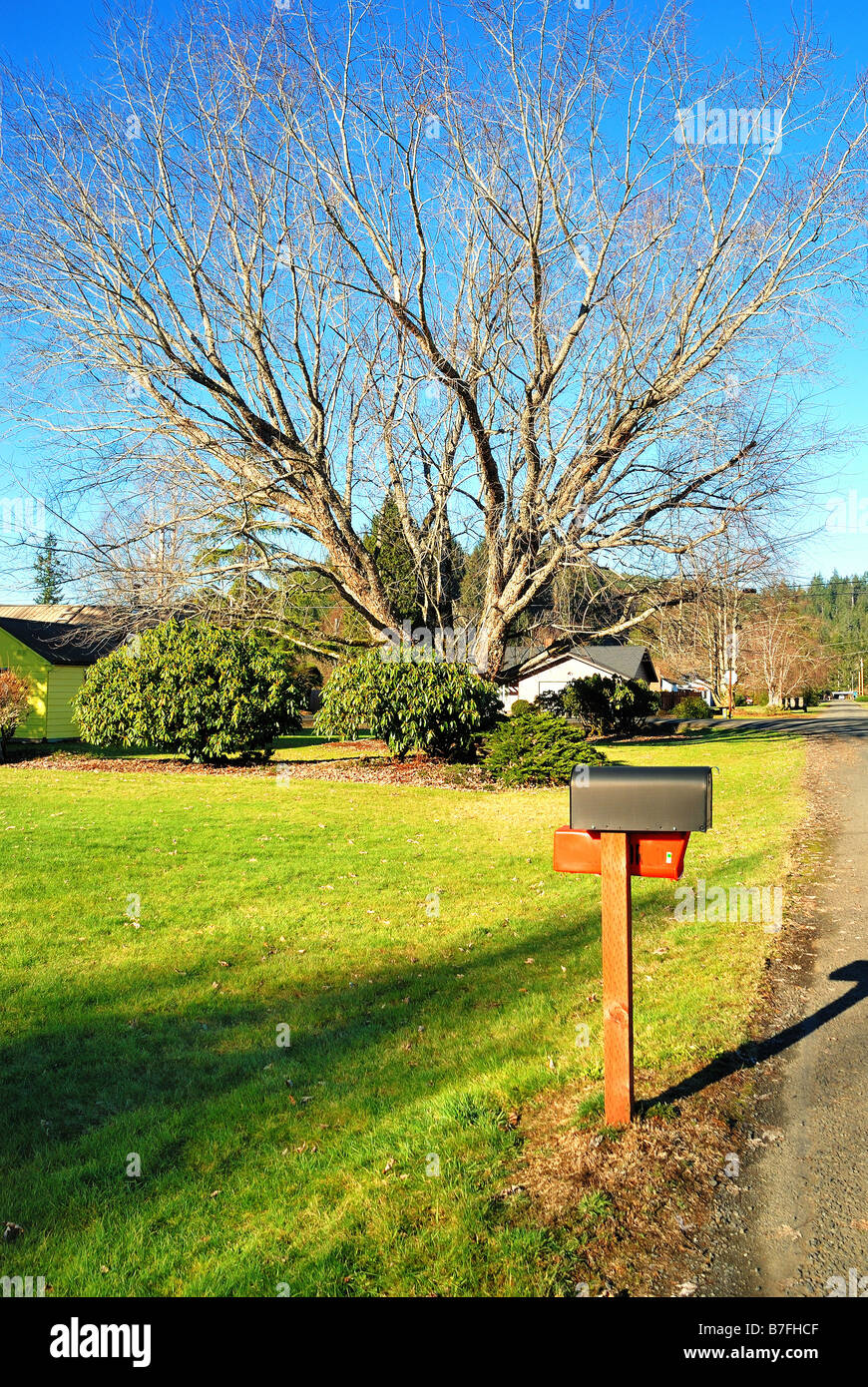 Rurale Casella di posta, giornale Casella e il grande albero Foto Stock