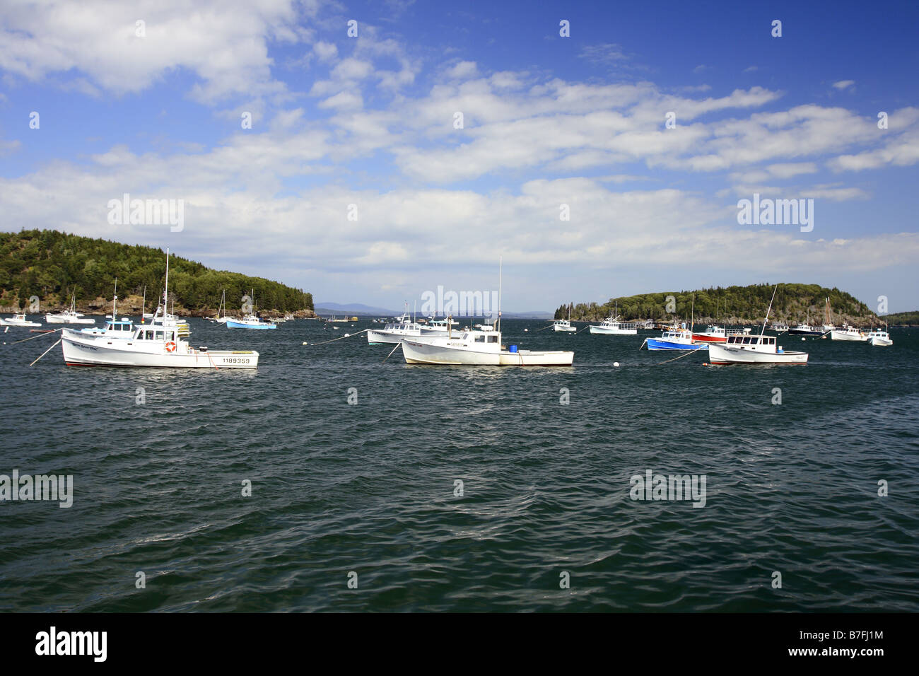Lobster imbarcazioni al bar harbor maine usa Foto Stock