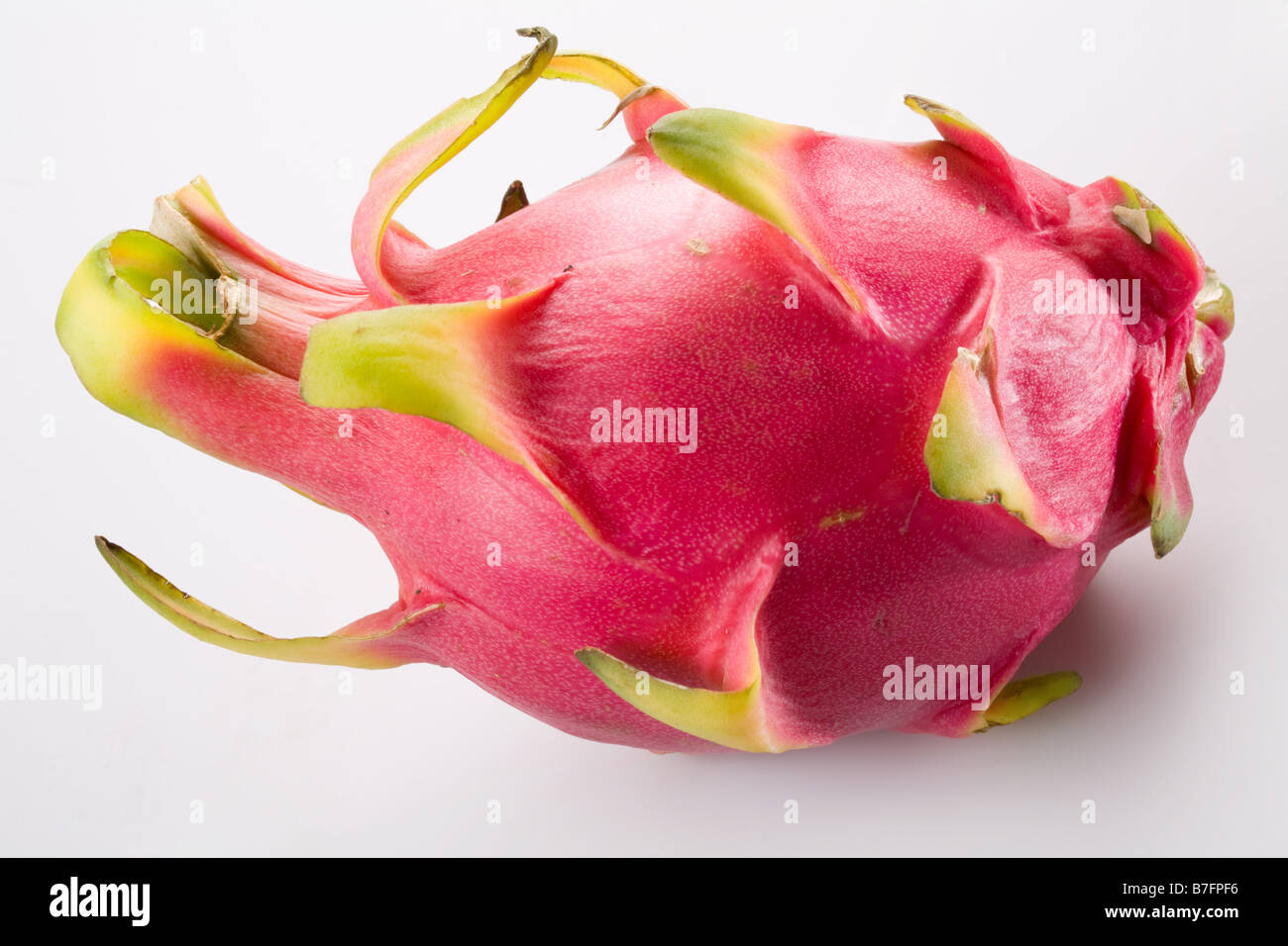 Drago Pitaya frutto Foto Stock