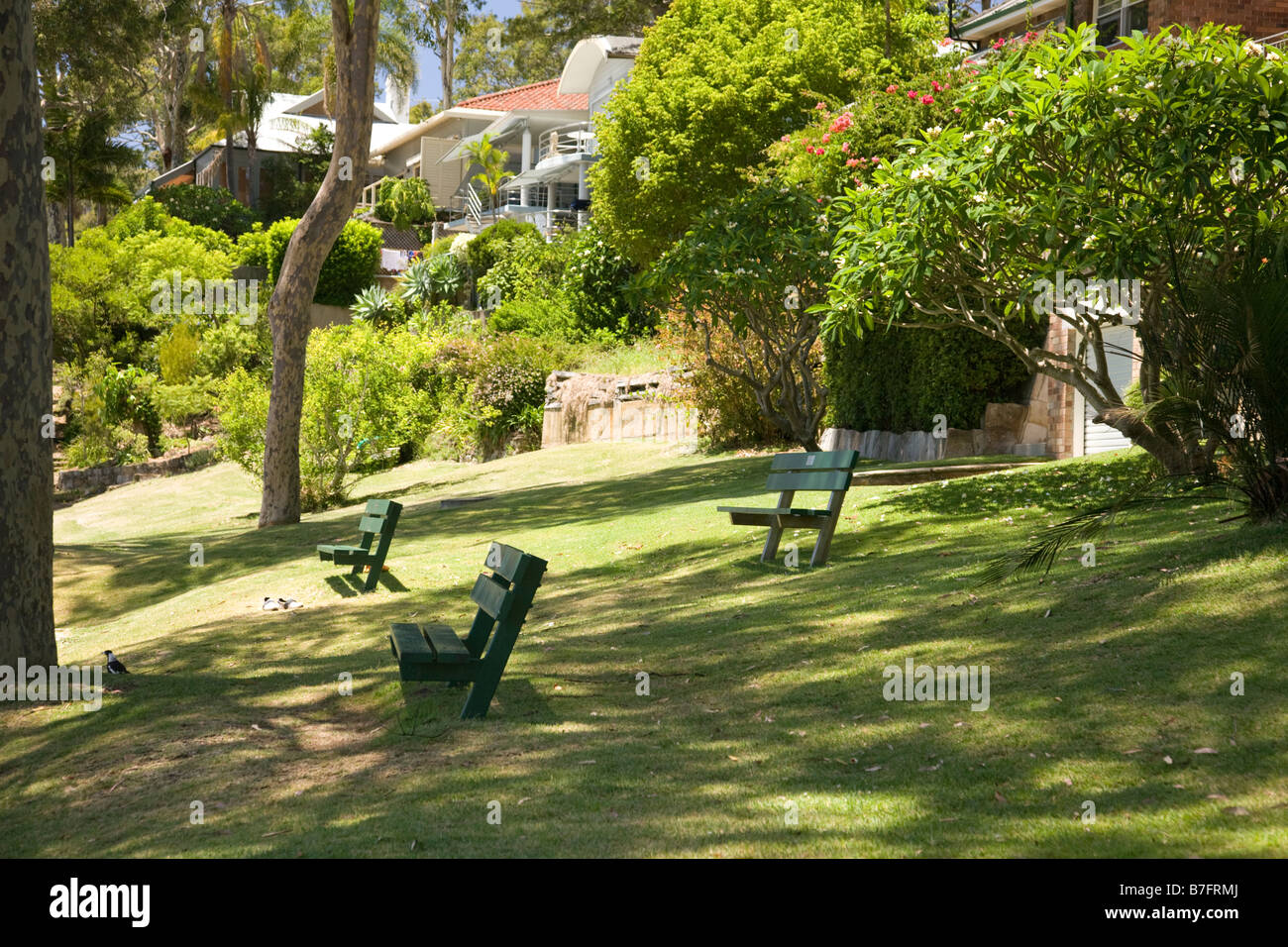 Taylors Point a Clareville, nella zona erbosa delle spiagge settentrionali di Sydney con panchine del parco accanto a Pittwater, New South Wales, Australia Foto Stock