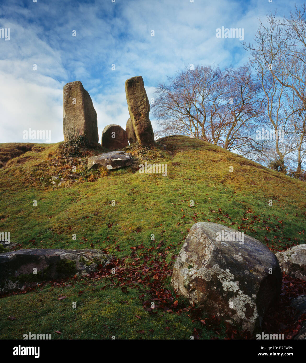 Il Coldrum pietre, un chambered Neolitico Long Barrow. Trottiscliffe, Kent, Inghilterra, Regno Unito. Foto Stock