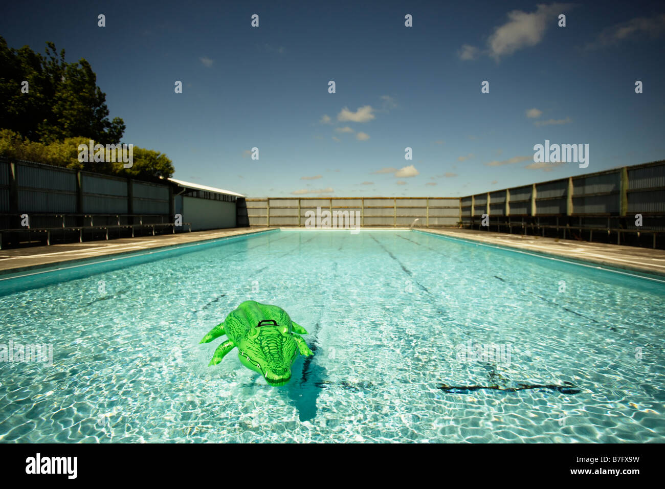 Coccodrillo gonfiabile in piscina Foto Stock
