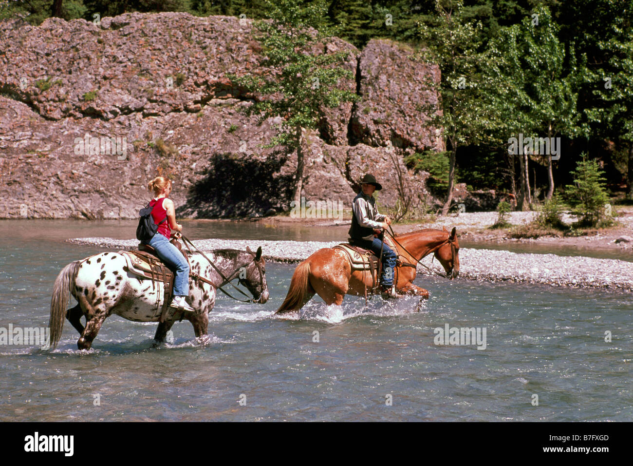 Il Parco Nazionale di Banff, Canadian Rockies, Alberta, Canada - Trekking a cavallo, Equitazione, cavalli Varcando il fiume, estate Foto Stock