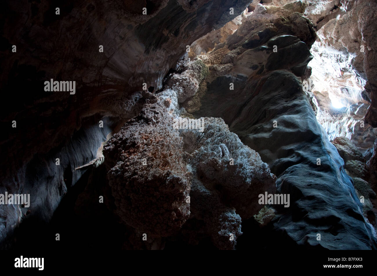 La roccia di fronte all'interno di una grotta con una stalattite 06 11 2008 Barreiras Bahia Brasile Foto Stock