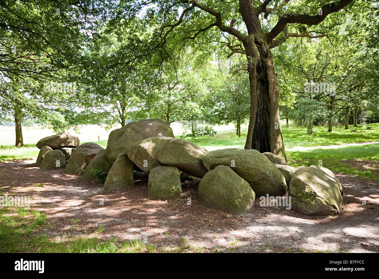 D17 hunebed dolmen Rolde Drenthe Olanda orientale Foto Stock