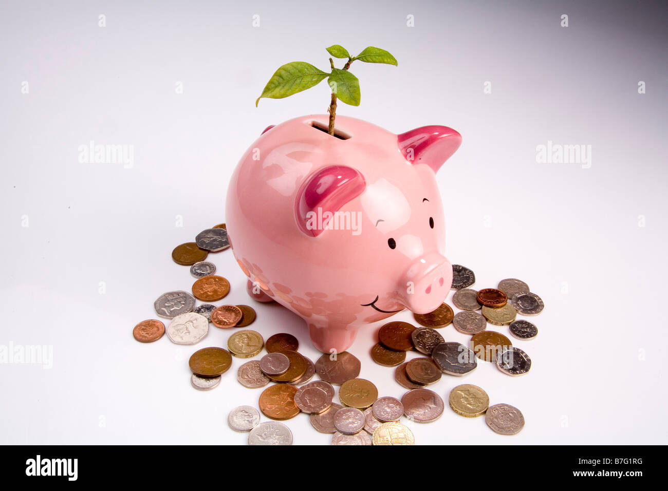 Germogli verdi di recupero finanziario Foto Stock