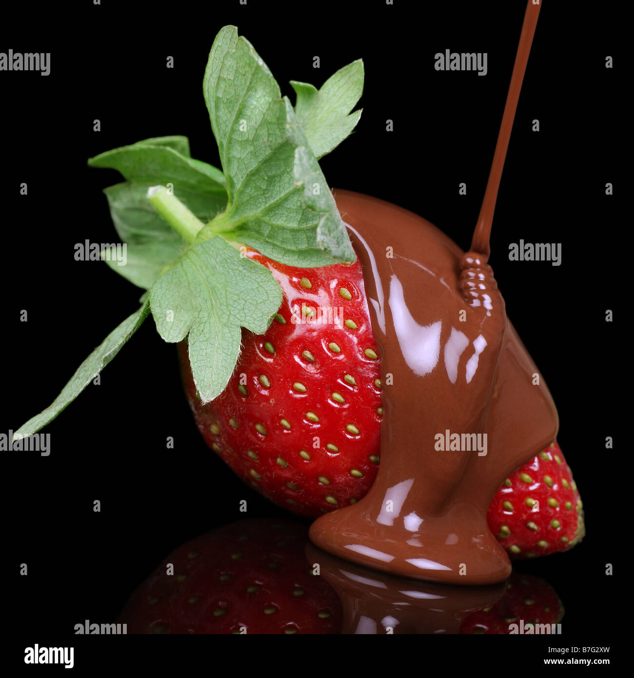 Salsa al cioccolato che copre un fresco fragole mature Foto Stock