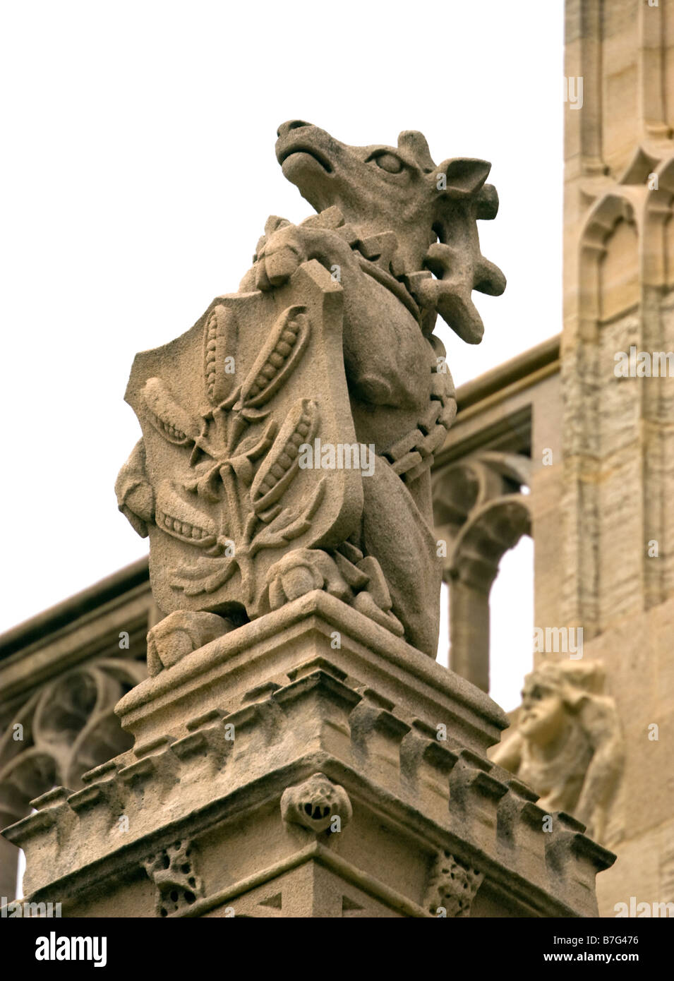 Gargoyle holding stemma, il Castello di Windsor, Berkshire, Inghilterra Foto Stock