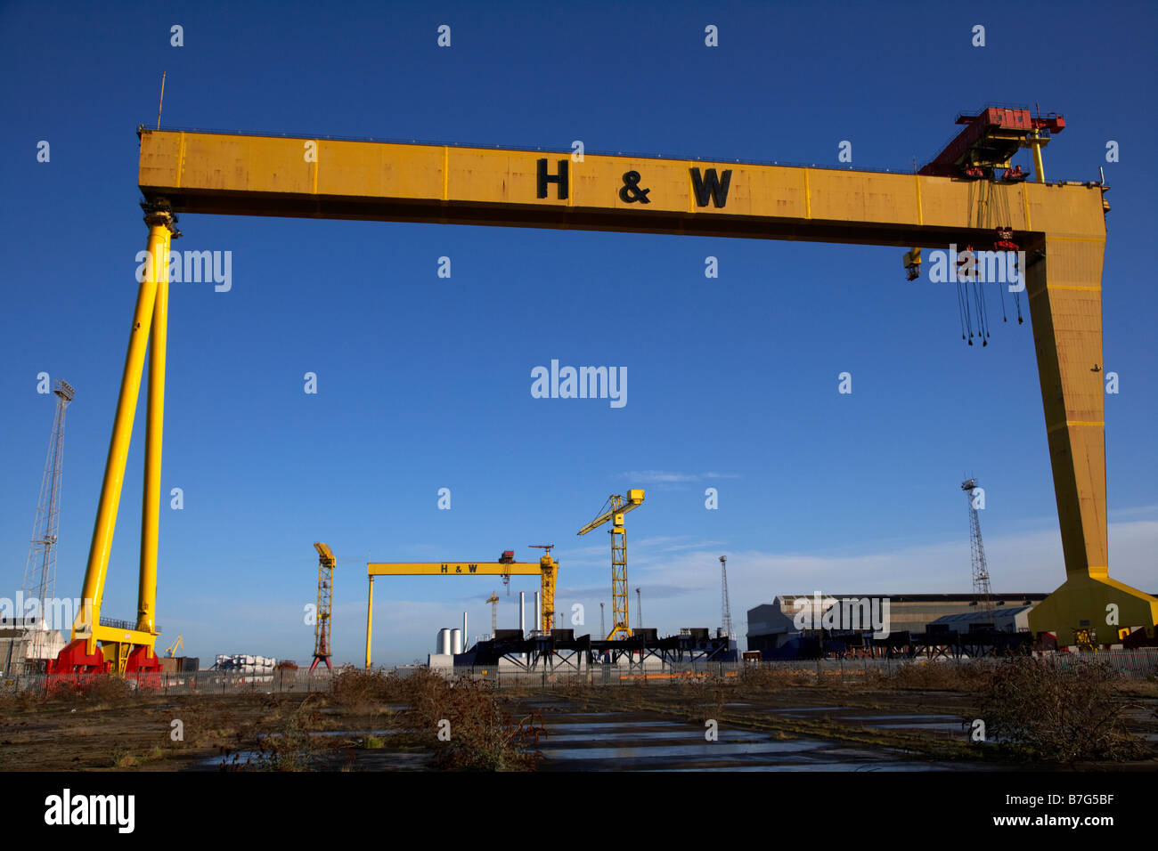 Harland e Wolff gru di cantiere titanic quarter Belfast Foto Stock