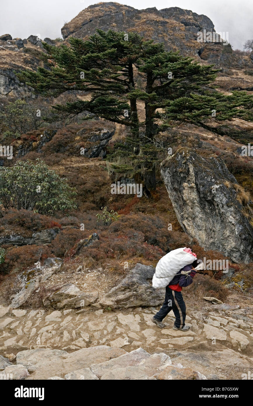 Percorso panoramico di Khumjung villaggio nel distretto di Solukhumbu nella zona di Sagarmatha del nord est del Nepal Foto Stock