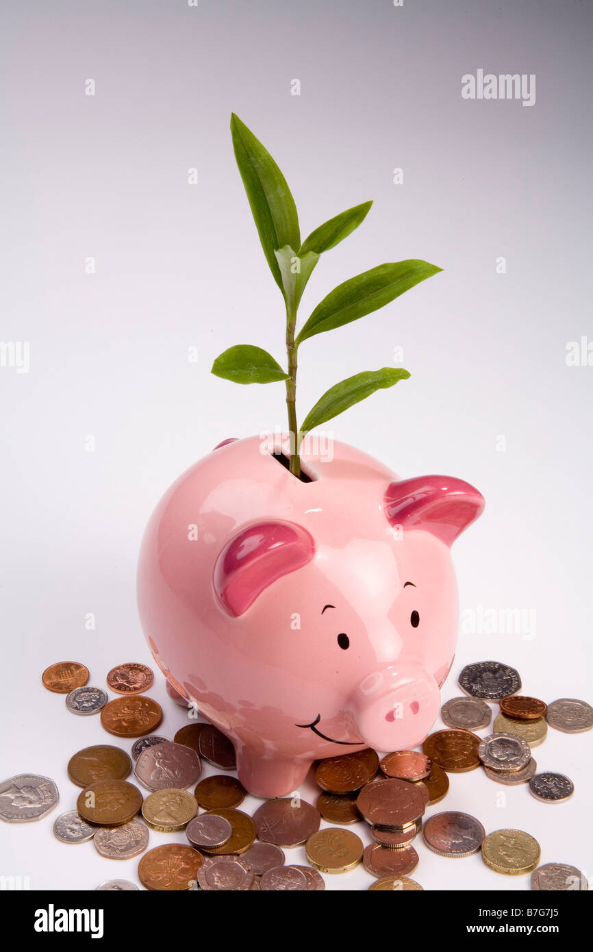 Germogli verdi di recupero finanziario Foto Stock
