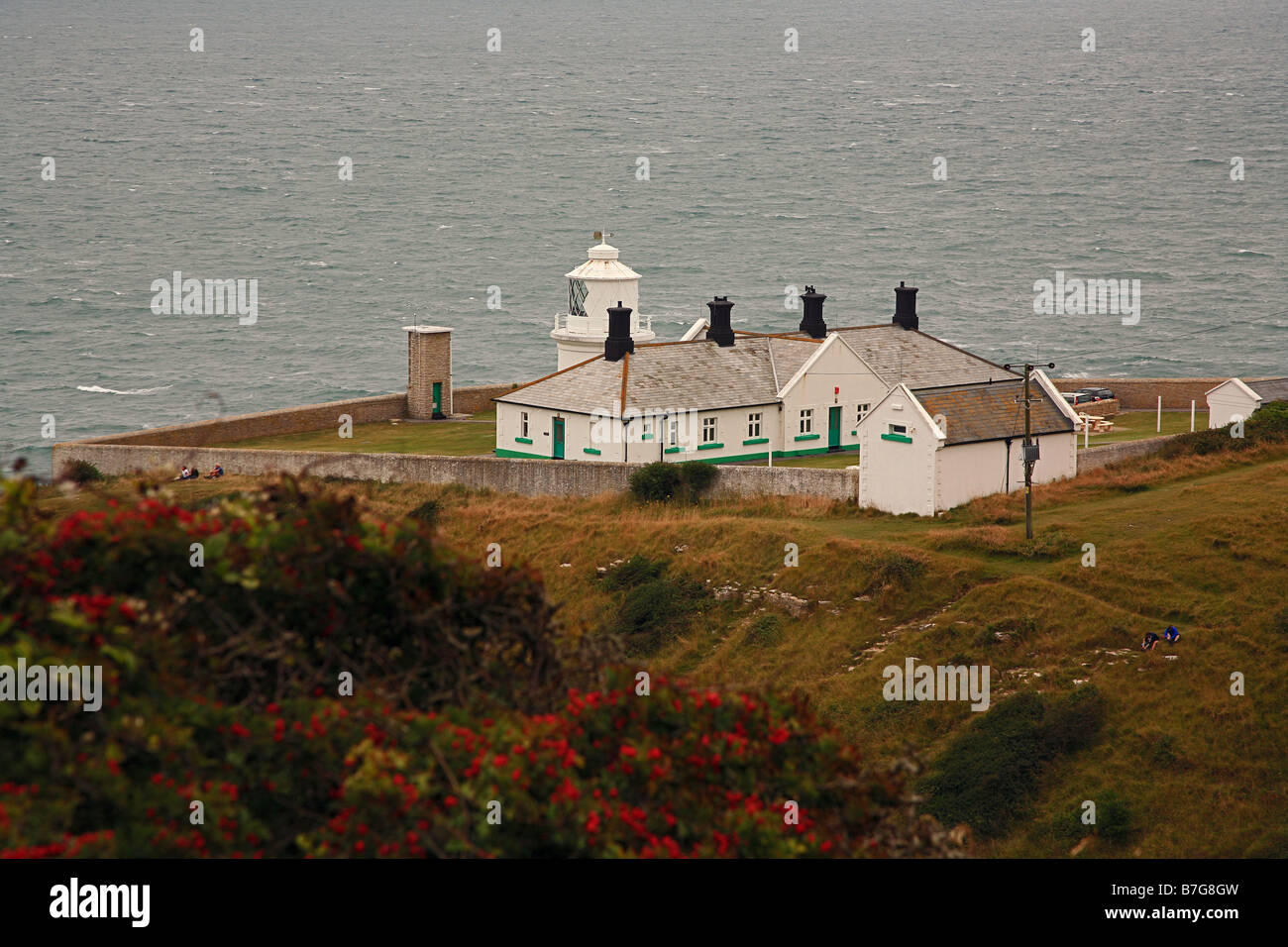 Incudine Point Lighthouse vicino a Swanage Inghilterra Dorset Regno Unito Foto Stock