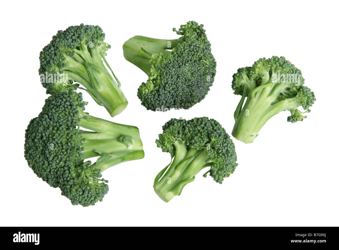Broccoli ritagliata su sfondo bianco Foto Stock