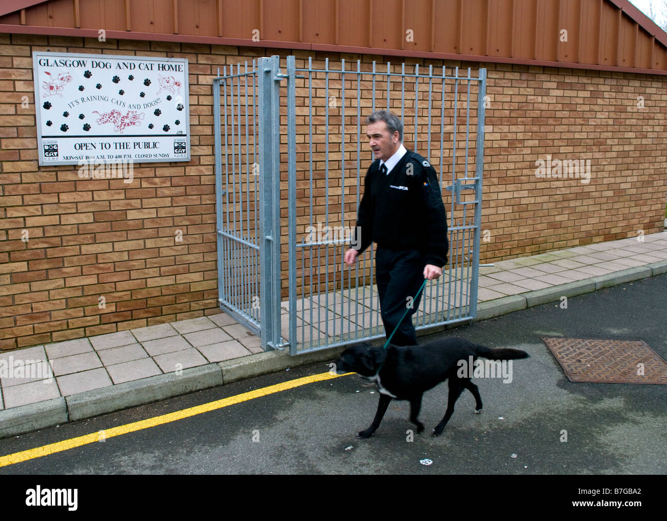 Scottish SPCA officer a piedi un cane nel cane e gatto Home Glasgow Foto Stock