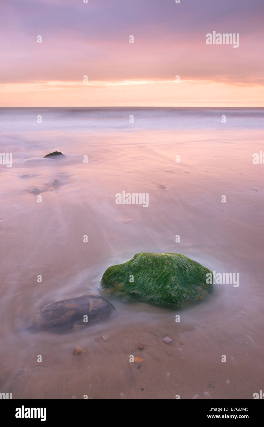 Una lunga esposizione di alghe rocce rivestita essendo coperta da onde Foto Stock