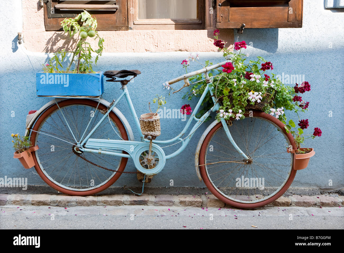 Bicicletta con fiori Foto Stock
