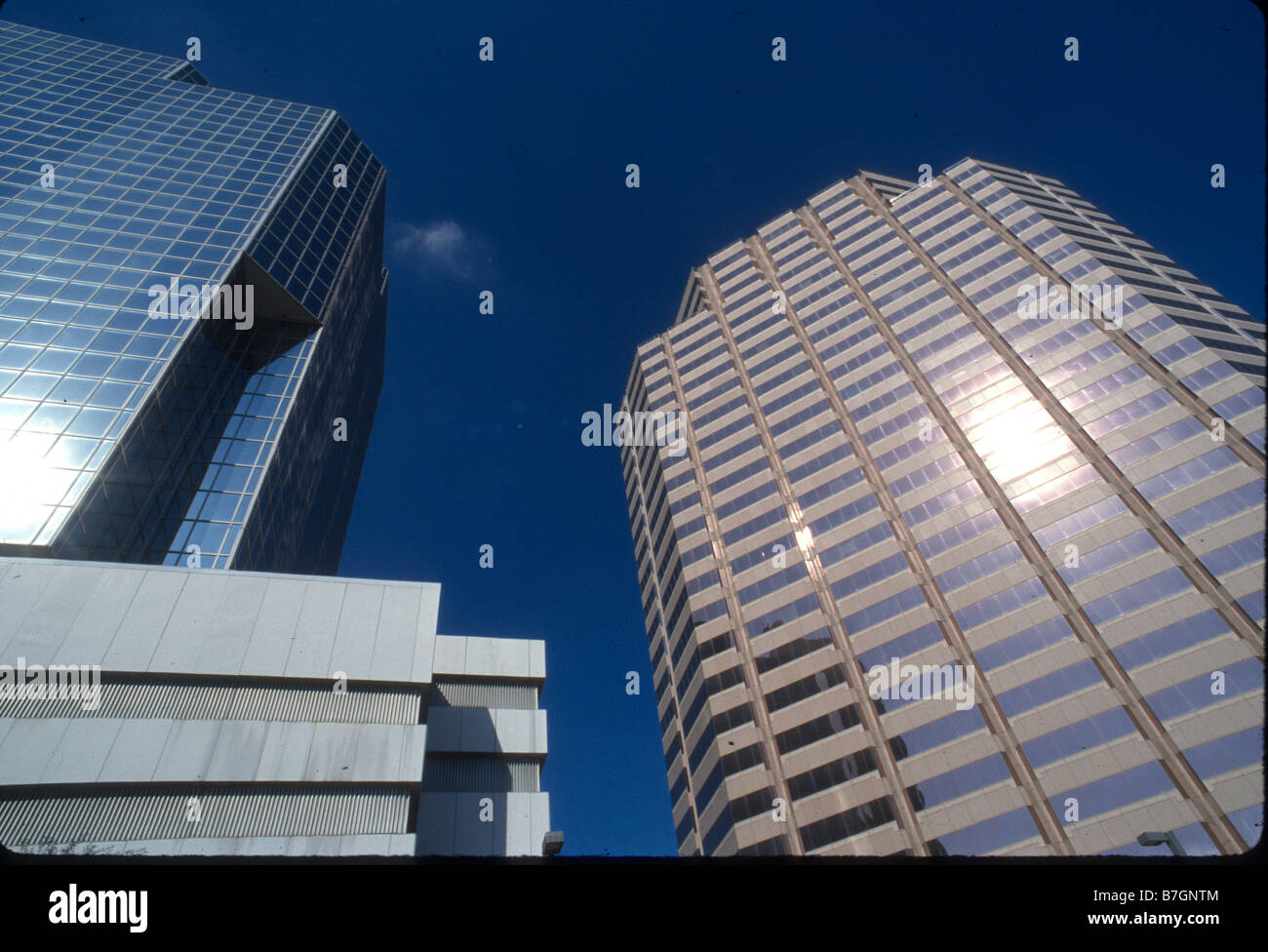 Vetro ricoperto di edifici alti in Tampa Florida USA Foto Stock