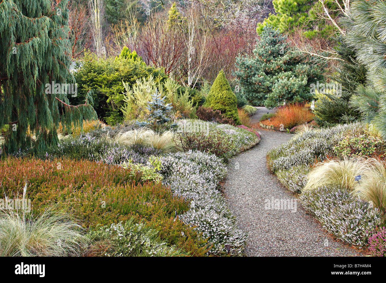 Il giardino di inverno IN GENNAIO A RHS ROSEMOOR DEVON Foto Stock
