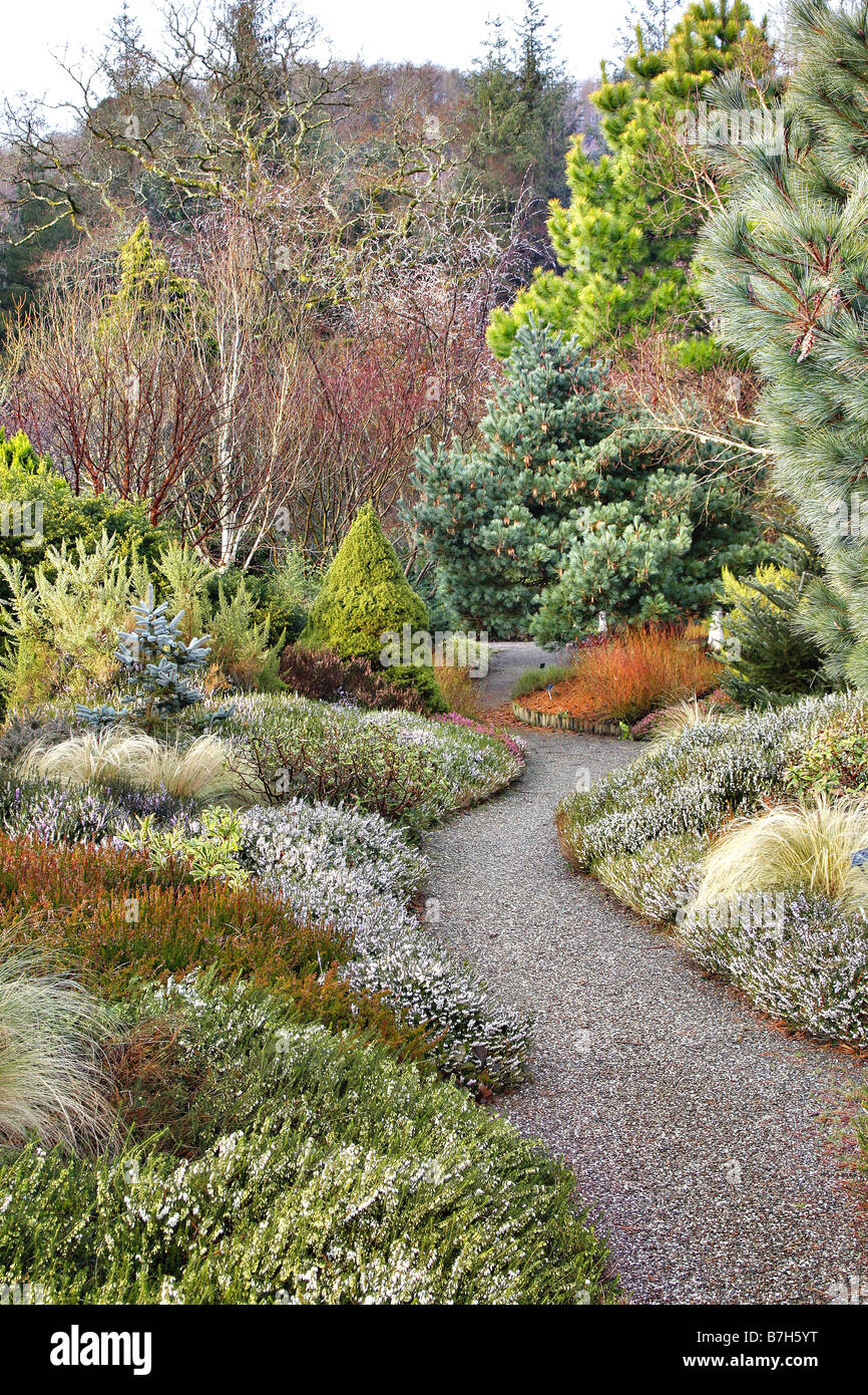 Il giardino di inverno IN GENNAIO A RHS ROSEMOOR DEVON Foto Stock