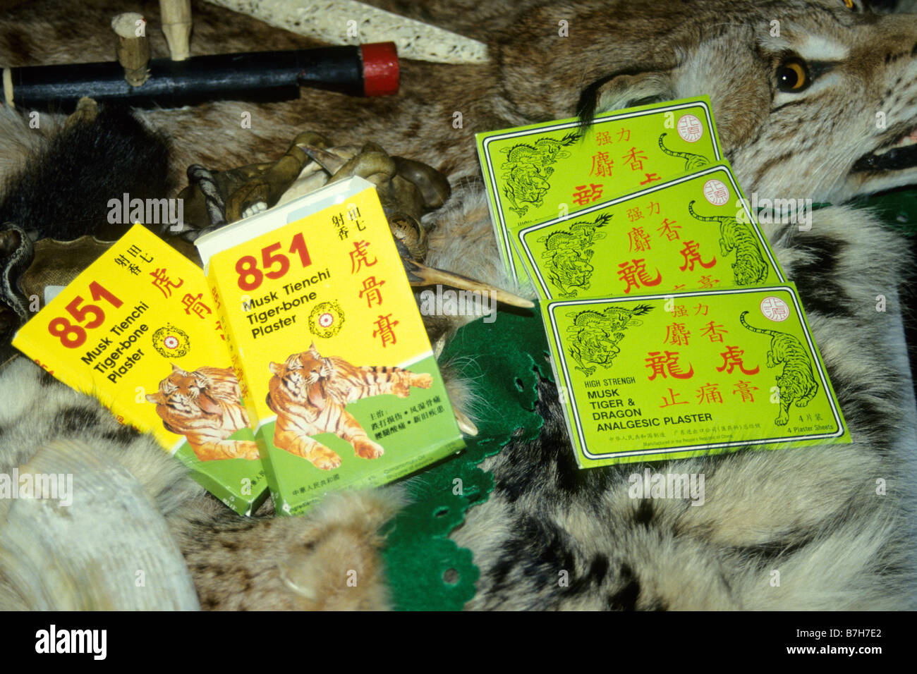 Tiger osso cerotti usati nella medicina cinese sequestrate dalla dogana  tedesca Foto stock - Alamy