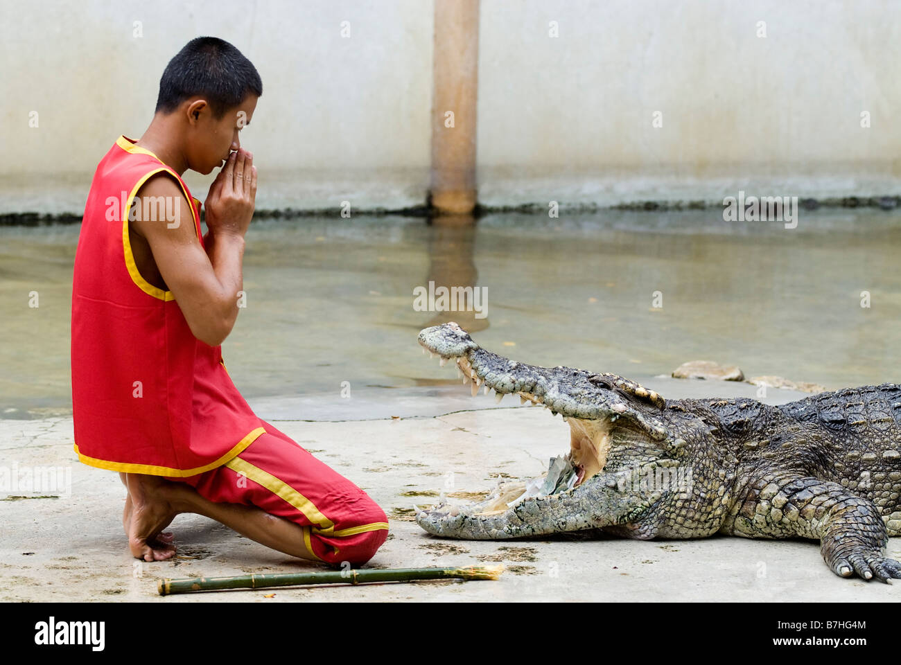 Samut Prakan Crocodile Farm, Chonburi. Bangkok Foto Stock
