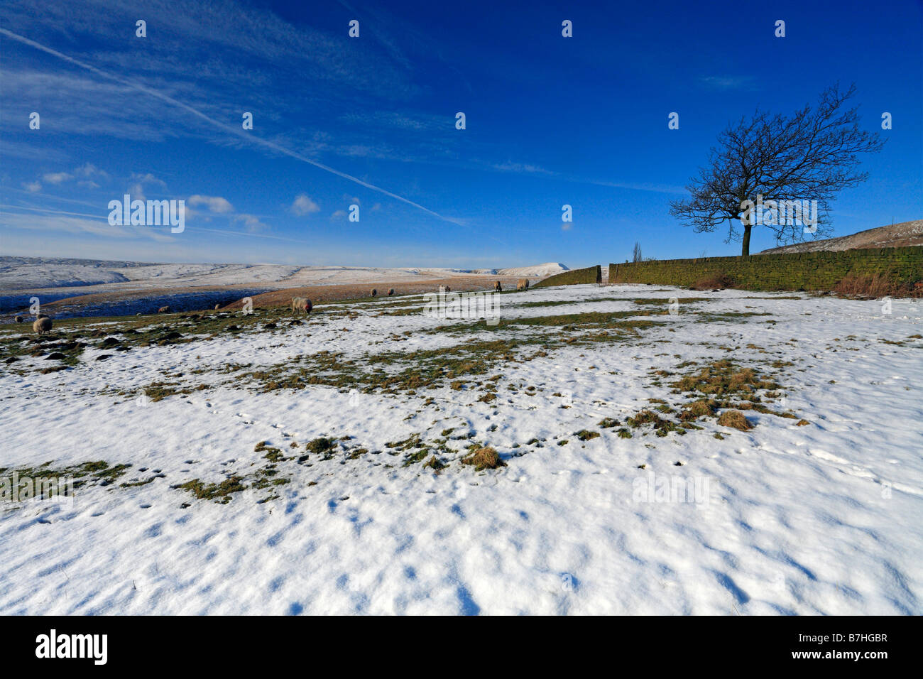 L'inverno in Alta Colne Valley verso marzo Hill, Marsden, West Yorkshire, Inghilterra, Regno Unito. Foto Stock