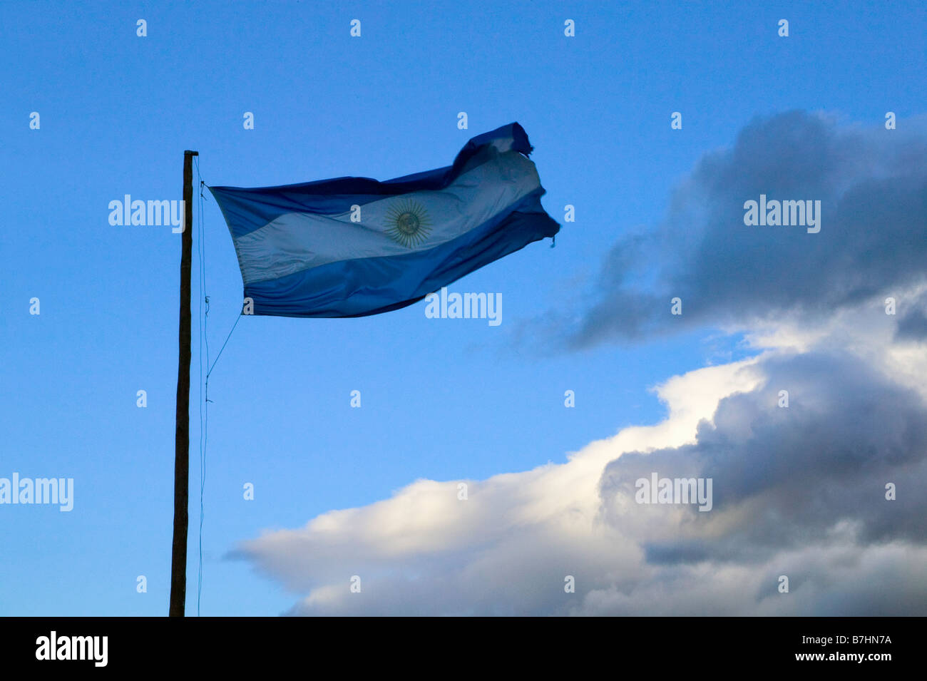 Argentina bandiera nazionale Foto Stock