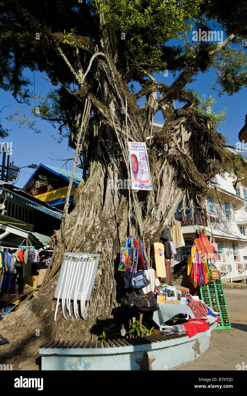 Un grande banyan tree nel mezzo di Bocas città con negozio di souvenir tutti intorno ad esso per la vendita Bocas del Toro Panama Foto Stock