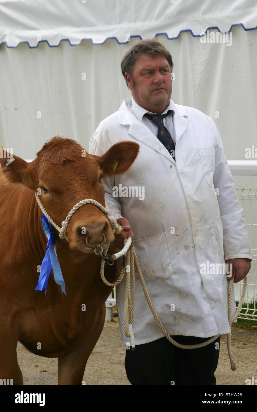 Vincitore del premio bull a bagno e West show, Somerset, Inghilterra Foto Stock