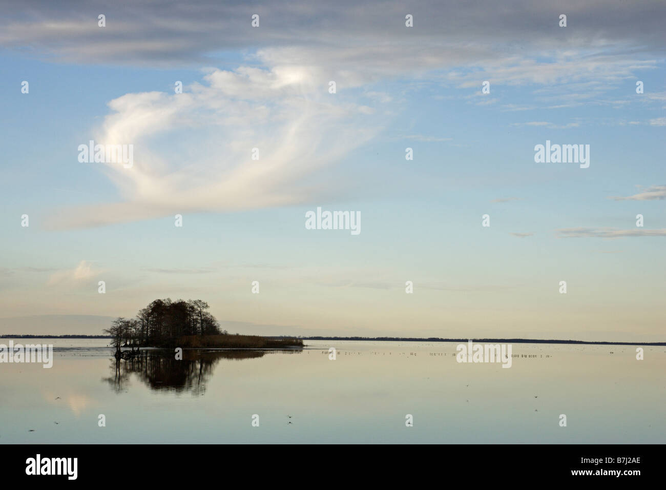 Piccola isola e di riflessione in un lago a Mattamuskeet Foto Stock