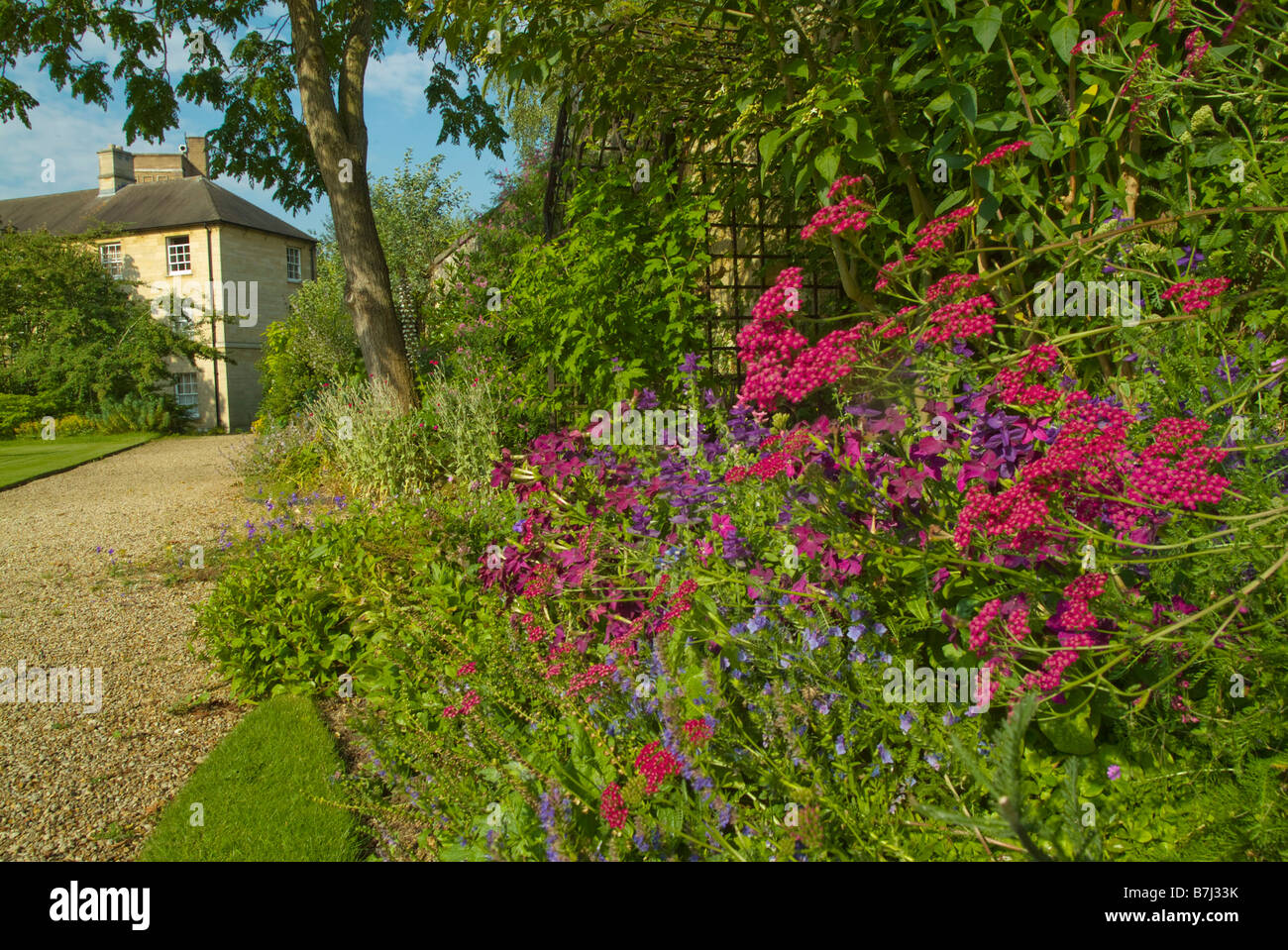 Green Templeton College Garden Oxford Foto Stock